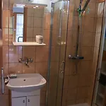 Pod Brzozami דירה