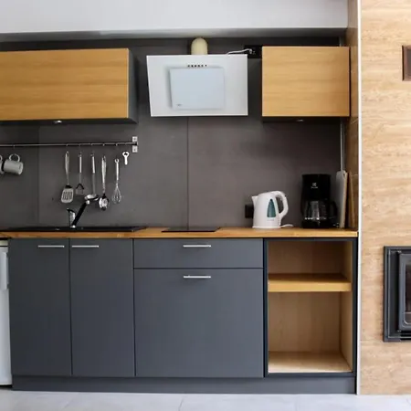 Pod Brzozami Apartment
