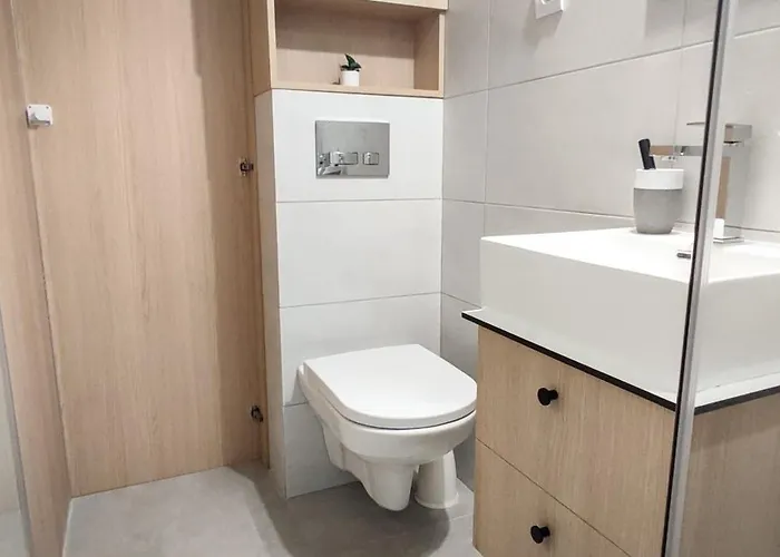Apartman Pod Brzozami